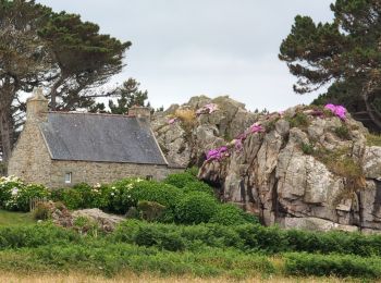 Trail Walking Plougrescant - Plougrescant - GR34 la Roche Jaune - 22.9km 260m 5h10 (45mn) - 2024 06 23 - Photo