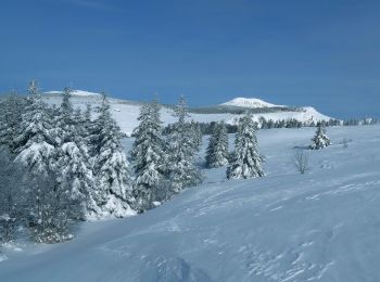 Randonnée Marche Sainte-Eulalie - Sucs Montfol et La Lauzière 11km. - Photo