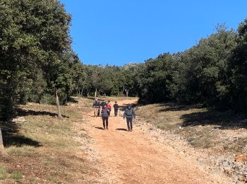 Trail Walking Murles - Sensei2021 - Photo
