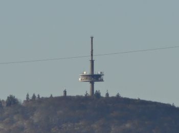 Trail On foot Gießen - Zugangsweg zum Lahnwanderweg (ab Hbf Gießen) - Photo