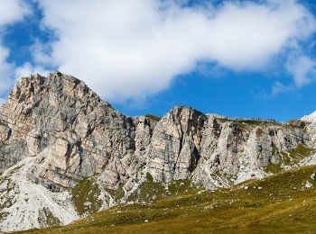 Trail On foot Cortina d'Ampezzo - IT-435 - Photo