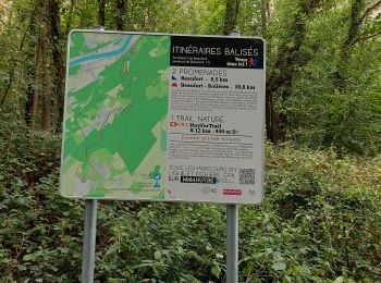 Trail Walking Wanze - WANZE _ ( Huy ) _ LG _ Marche Fédérale  - Photo