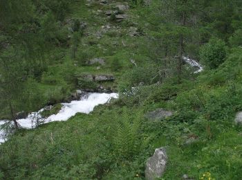 Tocht Te voet Sand in Taufers - Campo Tures - IT-8A - Photo