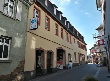 Tour Zu Fuß Geisenheim - Geisenheimer Rundweg O - Photo