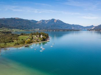 Tocht Te voet Strobl - Wanderweg 1 - Photo