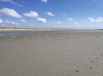 Excursión Senderismo Quend - Picardie 2020 Quent plage  vers la baie de Somme et les bouchots - Photo