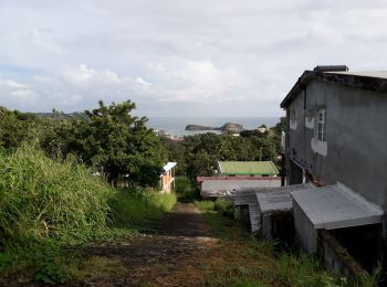 Tour Wandern Sainte-Marie - Balade solidaire Groupama Ste Marie  - Photo