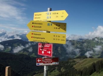 Trail On foot Dienten am Hochkönig - Abstecher Zachhofalm - Photo