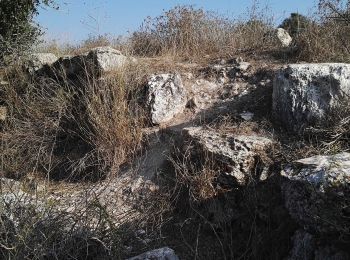 Trail On foot Mate Yehuda Regional Council - Midras ruins - Masua observatory - Photo