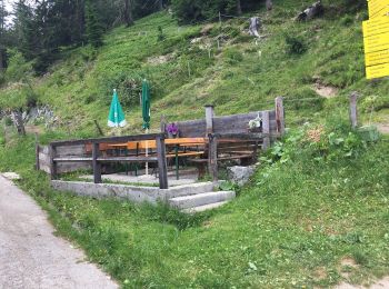 Percorso A piedi Ramsau am Dachstein - Jungfrauensteig - Photo