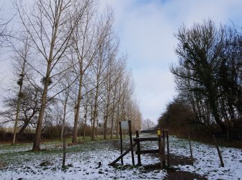 Randonnée Marche Kortessem - Vliermaal  - Photo