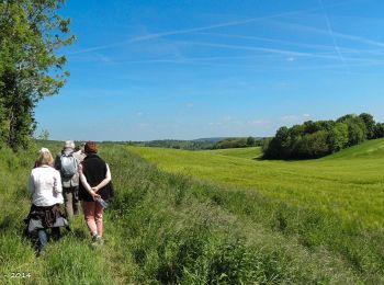Trail Walking Bellême - Traversées Percheronnes Bellême - Gémages 15,4 Km - Photo