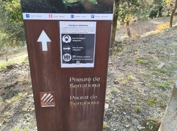 Excursión Senderismo Boule-d'Amont - Serrabonne autour du prieuré  - Photo