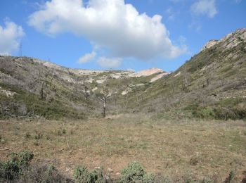 Randonnée Marche Sénas - PF-Sénas - Vallon d'Auphant - 2 - Photo