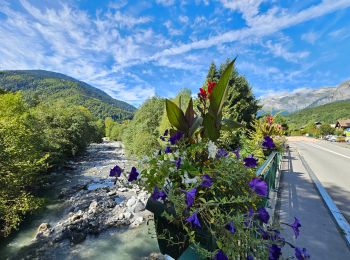 Randonnée Marche Les Houches - J6 - Servoz - La Cote - La Gouille du Bë - Photo