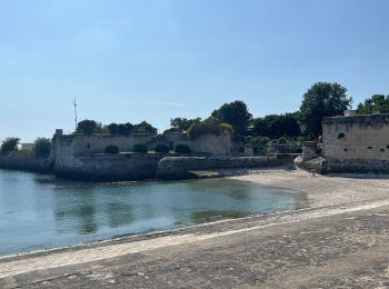 Percorso Bici ibrida La Rochelle - De La Rochelle à Marrans - Photo