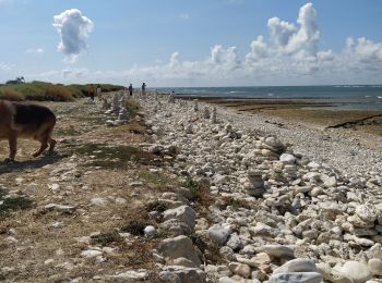 Tour Wandern Saint-Denis-d'Oléron - chassieon - Photo