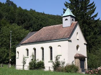 Excursión A pie Gemeinde Klosterneuburg - Weidlingbach/Dombachgraben - Eichenhain - Photo