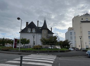 Tocht Stappen Billère - RS Billière sentier insolite - Photo