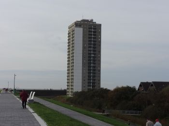 Trail On foot Büsum - Kurt-Schulte-Weg - Photo