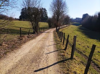 Trail Walking Bütgenbach - Promenade le long de la Warche   - Photo