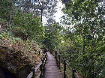 Trail On foot Arbo - Sendeiro da Moura - Photo