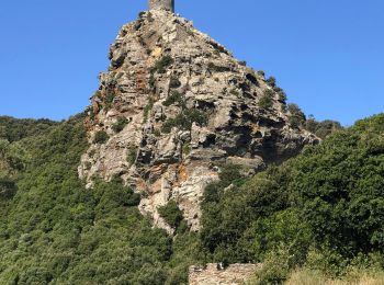 Tour Wandern Pino - Randonnée Cap Corse  - Photo