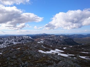 Trail On foot  - Seksortklumpen - Photo
