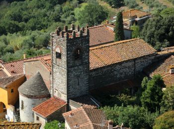 Tour Zu Fuß Serravalle Pistoiese - IT-300 - Photo