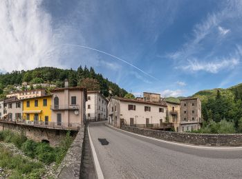 Percorso A piedi Pistoia - Pracchia - Rombiciaio - Photo