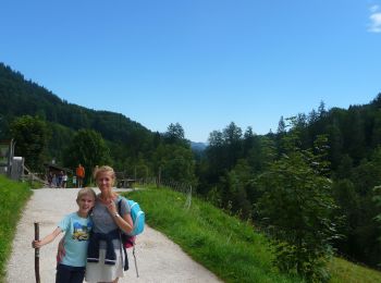 Excursión A pie Ramsau bei Berchtesgaden - Wikiloc Ramsau Wimbachklamm-Wimbachgrieshütte - Photo