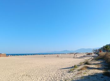 Percorso Marcia Canet-en-Roussillon - Le canet, la plage des kèkès ... - Photo