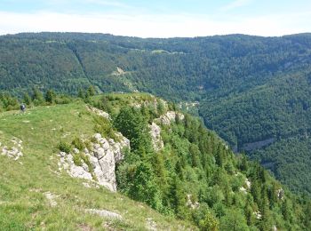 Trail Walking Septmoncel les Molunes - 190624 - Jura.2 - Montépile  - Photo