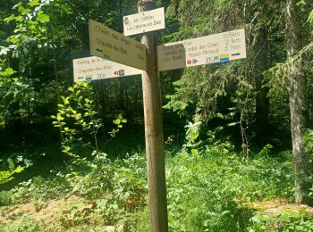 Tocht Stappen Chapelle-des-Bois - Chapelle des Bois - Photo