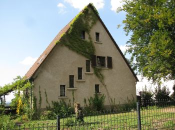 Randonnée A pied Alsbach-Hähnlein - Rundwanderweg Alsbach-Hähnlein Sperbergrund 6: Hasselsbachtal-Weg - Photo