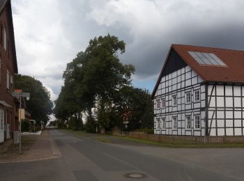 Percorso A piedi Nieheim - Nieheimer Kunstpfad - Photo