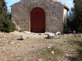 Randonnée Marche Peyrolles-en-Provence - la tempasse - Photo