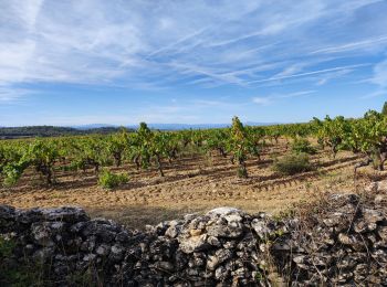 Excursión Senderismo Villeneuve-Minervois - virades 2024 - Photo