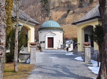 Percorso A piedi Bad Hofgastein - Gasteiner Höhenweg - Photo