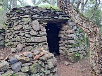 Excursión Senderismo Argelès-sur-Mer - Boucle des dolmens et chapelle St.Laurent - Photo