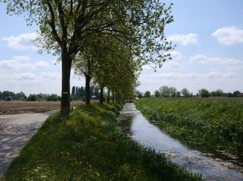 Randonnée Marche Lievegem - De Waarschoot à Gent st Pieters - Photo