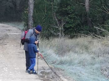 Trail Walking Cuges-les-Pins - maison Jean de florette  - Photo