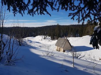 Tour Schneeschuhwandern Corrençon-en-Vercors - Vers le Pas Ernadant et ses cabanes - Photo
