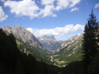 Randonnée A pied Soraga di Fassa - (SI C16S) Rifugio Fuciade - Passo Cirelle - Rifugio Contrin - Photo