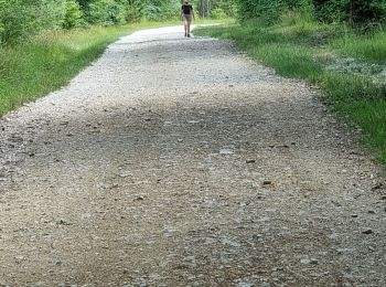 Trail Walking Vouthon-Haut - sur les chemins d'Isabelle partiel les Roises  - Photo