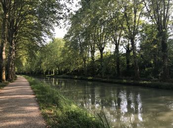 Percorso Bici ibrida Damazan - Canal de la Garonne  - Photo