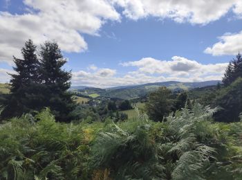 Randonnée Marche Chalmazel-Jeansagnière - Au dessus de Chalmazel  - Photo