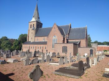 Trail Walking Halen - Loksbergen - Photo