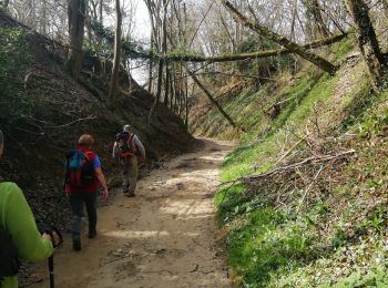 Trail Walking Marennes - 69 marennes-villette-V2-17km-420m - Photo