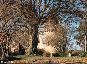 Tocht Stappen Berd'huis - Berd'huis - Saint-Cyr-la-Rosière via Préaux-du-Perche 12 km - Photo